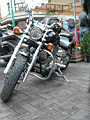 P1020109.JPG