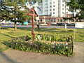 P1020138.JPG