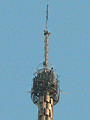 P1020142.JPG