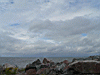 P1030233.jpg