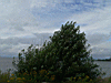 P1030236.jpg